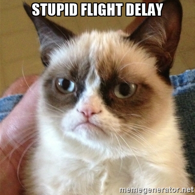 Flight delay grumpy cat