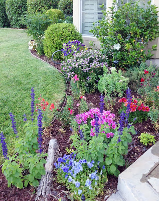 5 tips for keeping the garden alive during a drought