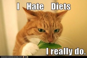 Diet cat