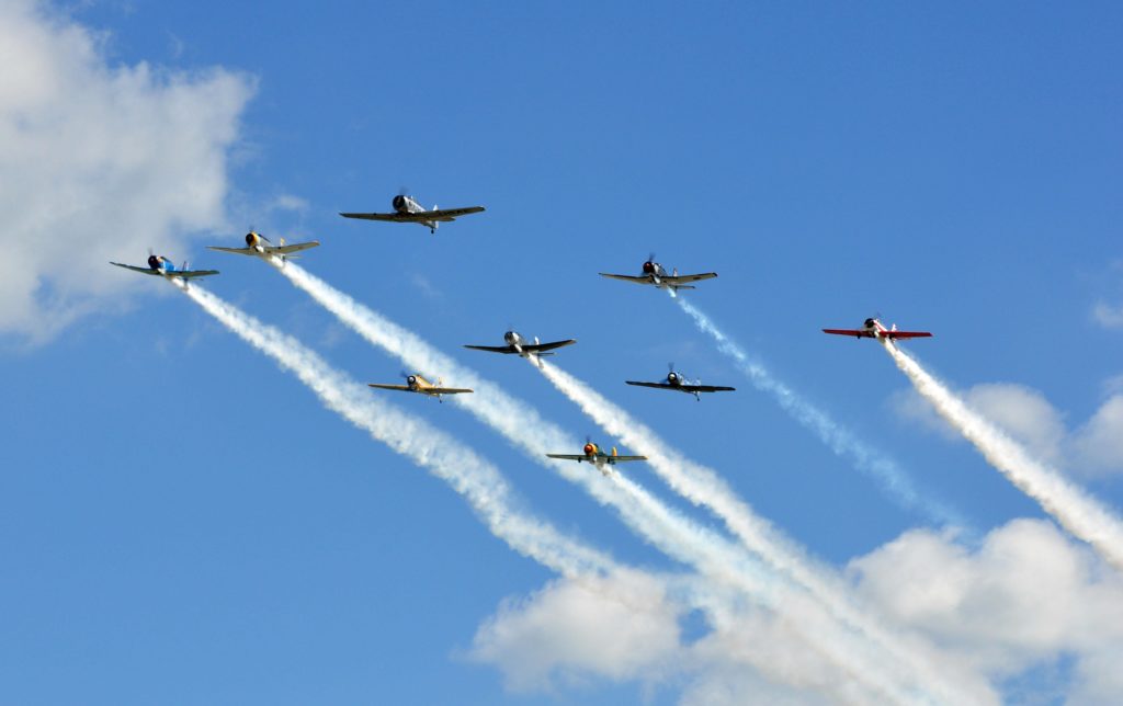 T-6s in formation