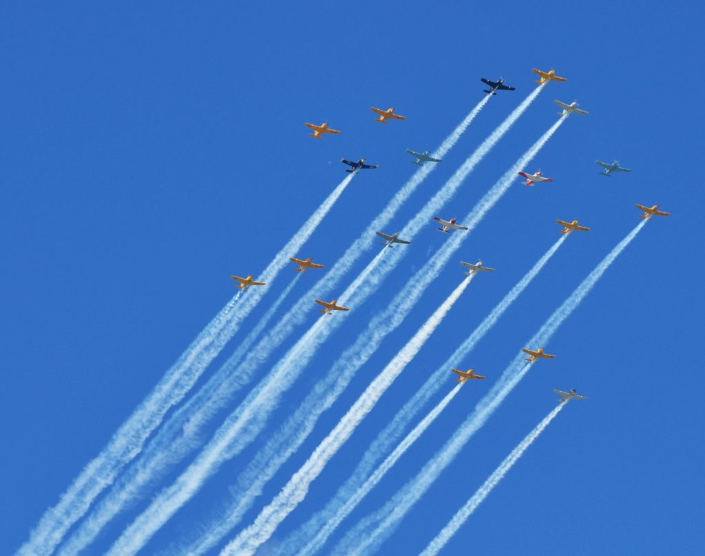 T-6s in formation