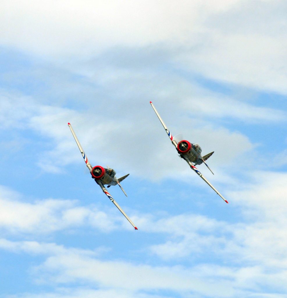 Geico Skytypers in SNJ-2s