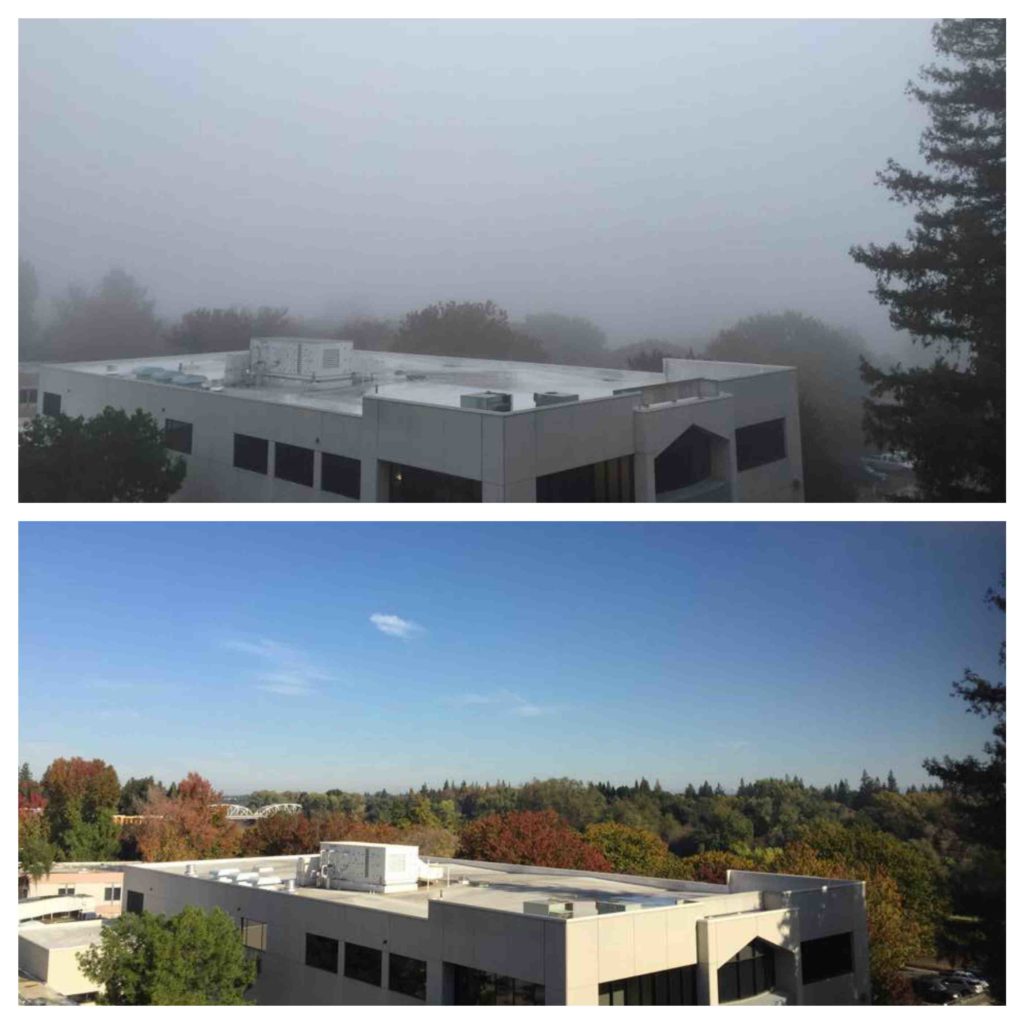 Fog to sunshine in Sacramento