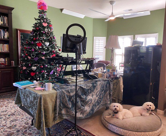 Valentine's tree in office with dogs