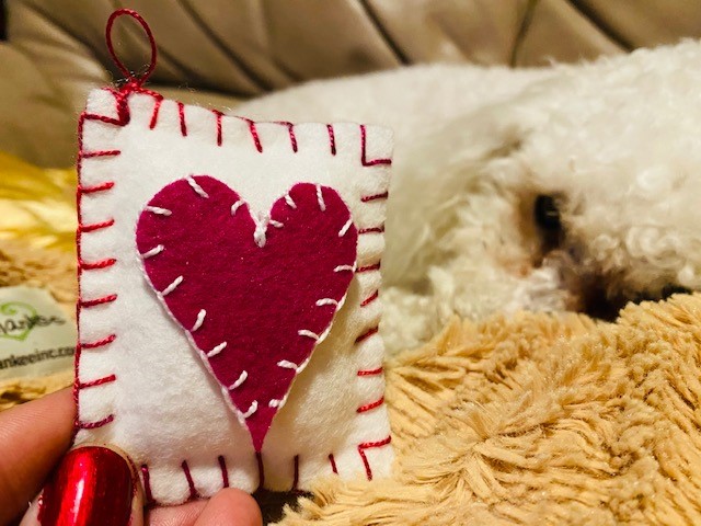 Heart raviolis with dog.