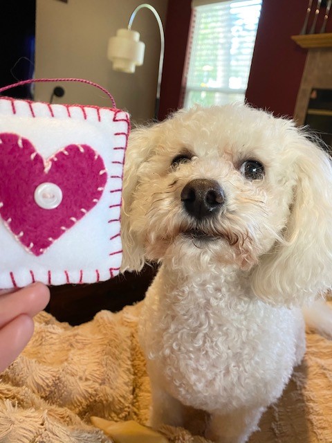 Dog with heart ornament
